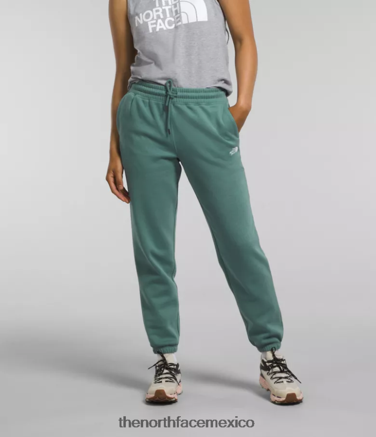 The North Face ropa NFHLJL976 salvia oscura/tnf blanco mujer pantalones deportivos de lana con media cúpula