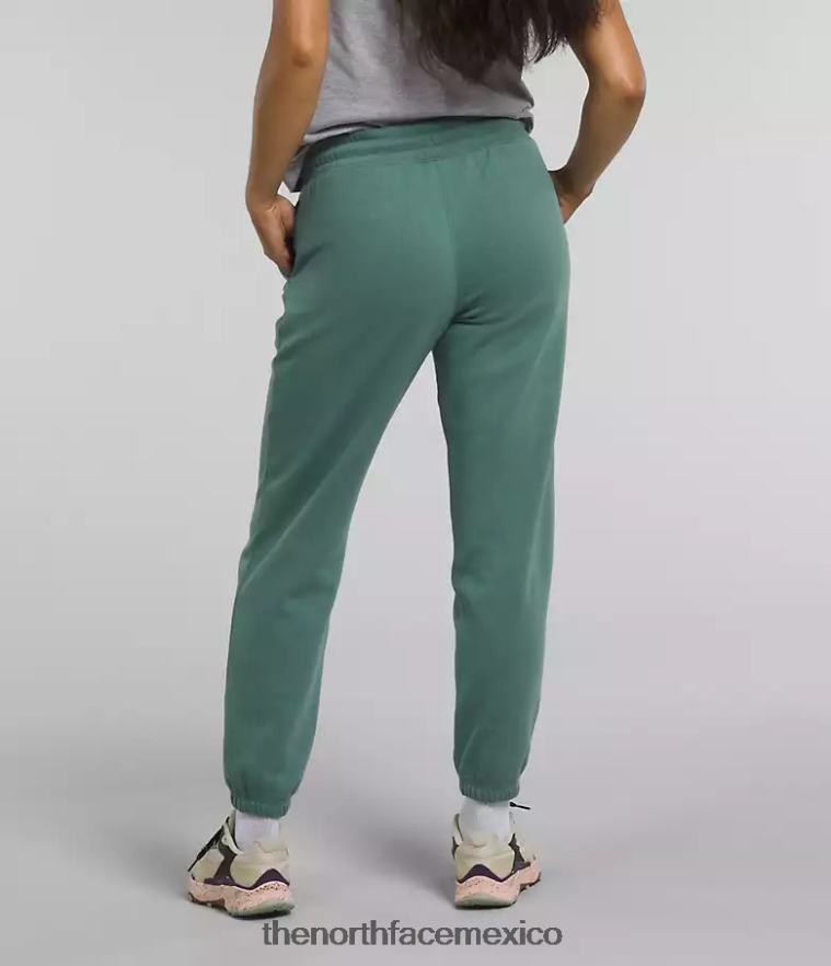 The North Face ropa NFHLJL976 salvia oscura/tnf blanco mujer pantalones deportivos de lana con media cúpula