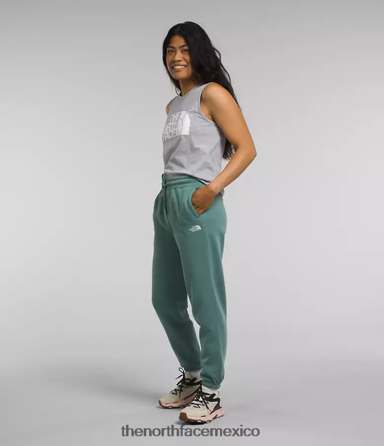 The North Face ropa NFHLJL976 salvia oscura/tnf blanco mujer pantalones deportivos de lana con media cúpula