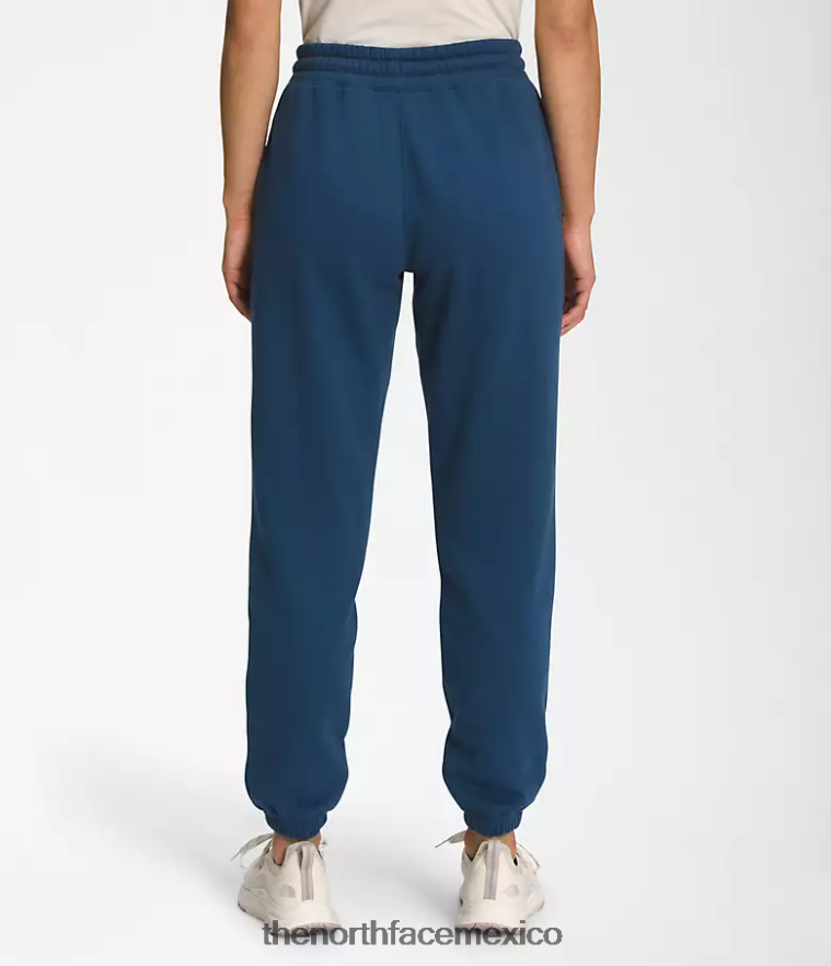 The North Face ropa NFHLJL979 azul sombreado/blanco tnf mujer pantalones deportivos de lana con media cúpula