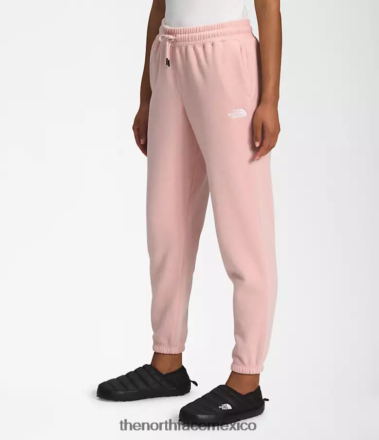 The North Face ropa NFHLJL981 rosa musgo/tnf blanco mujer pantalones deportivos de lana con media cúpula