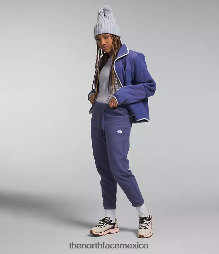 The North Face ropa NFHLJL845 cueva azul mujer pantalones alpinos polartec 100