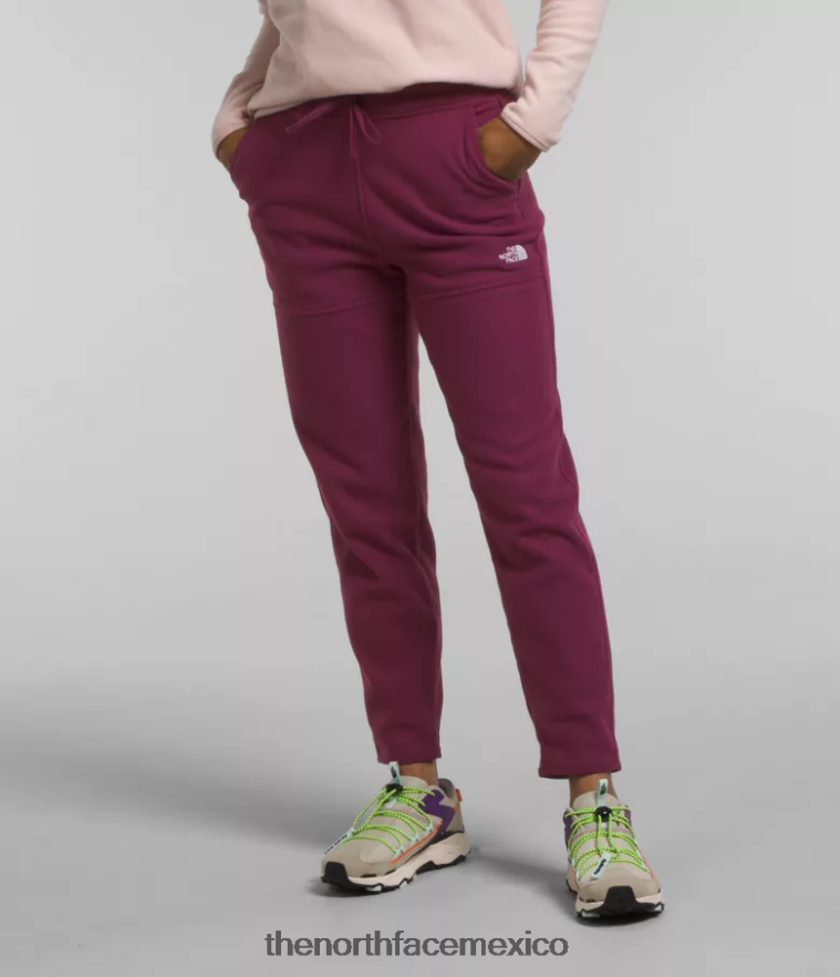 The North Face ropa NFHLJL846 arándano mujer pantalones alpinos polartec 100