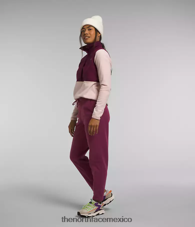 The North Face ropa NFHLJL846 arándano mujer pantalones alpinos polartec 100