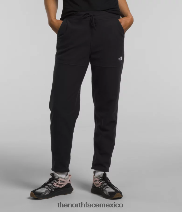 The North Face ropa NFHLJL847 negro mujer pantalones alpinos polartec 100