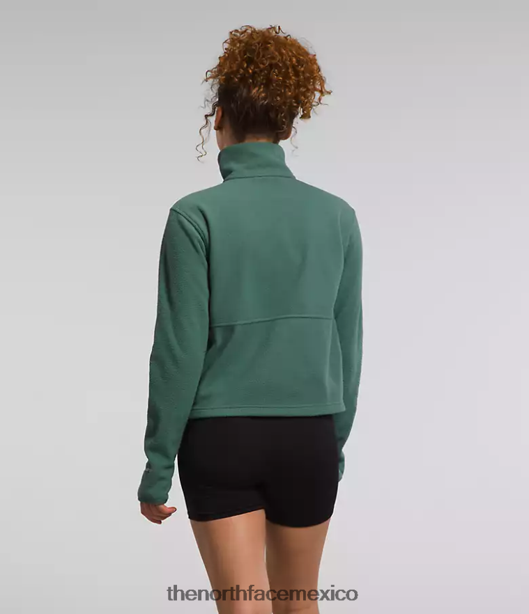 The North Face ropa NFHLJL157 sabio oscuro mujer Alpine Polartec 100 - capucha con cremallera