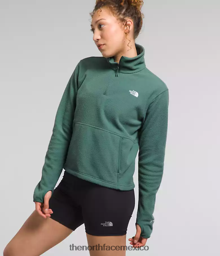 The North Face ropa NFHLJL157 sabio oscuro mujer Alpine Polartec 100 - capucha con cremallera