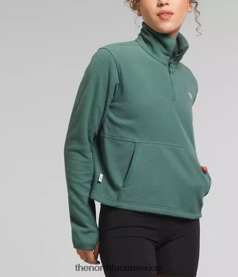 The North Face ropa NFHLJL157 sabio oscuro mujer Alpine Polartec 100 - capucha con cremallera