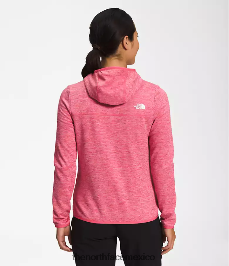 The North Face ropa NFHLJL746 cosmo rosa blanco brezo mujer sudadera con capucha de canyonlands