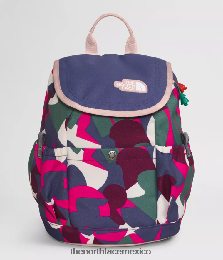 The North Face accesorio NFHLJL397 señor. estampado abstracto grande rosa/azul cueva niños mochila mini explorador juvenil