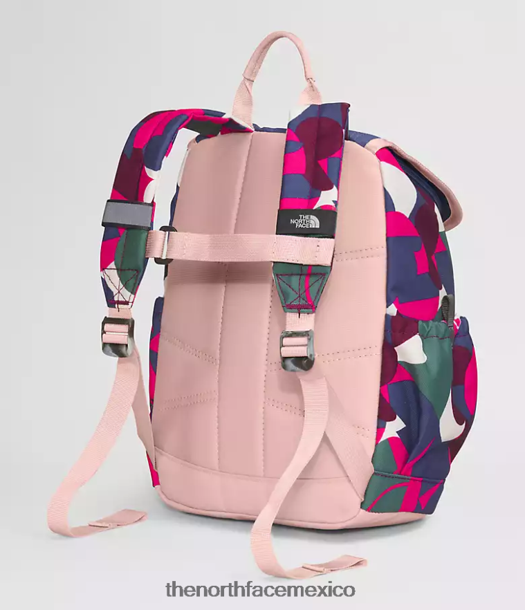 The North Face accesorio NFHLJL397 señor. estampado abstracto grande rosa/azul cueva niños mochila mini explorador juvenil
