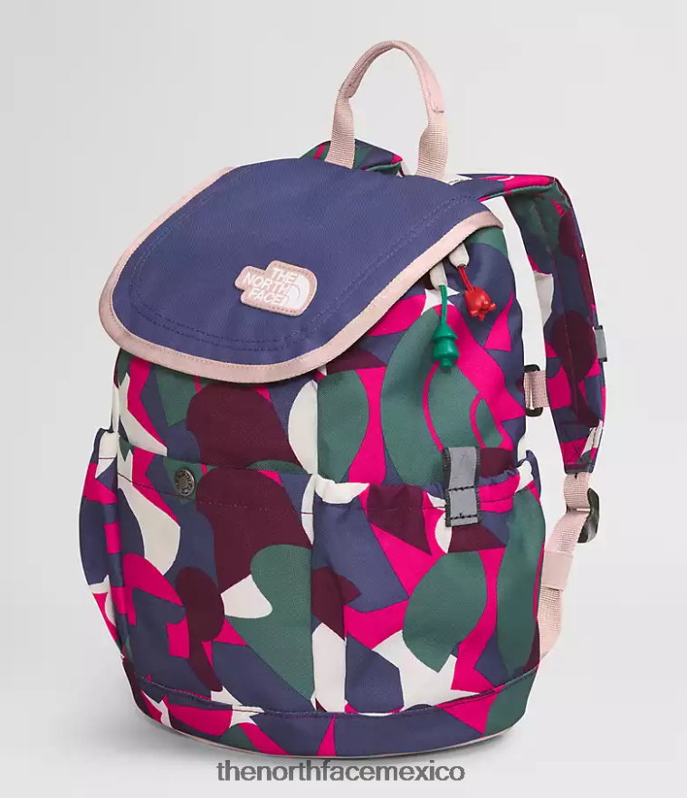 The North Face accesorio NFHLJL397 señor. estampado abstracto grande rosa/azul cueva niños mochila mini explorador juvenil