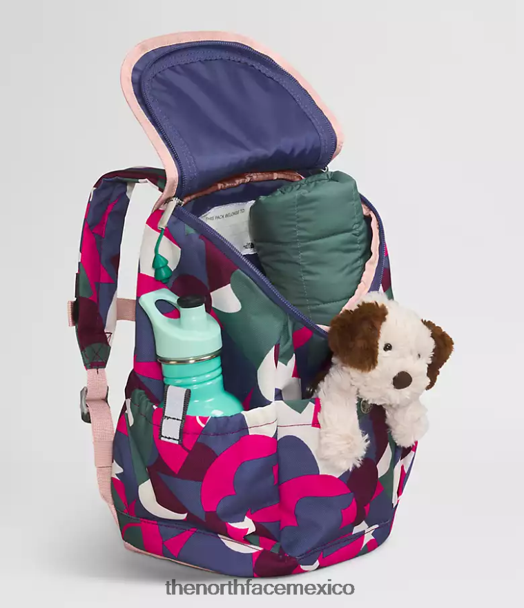The North Face accesorio NFHLJL397 señor. estampado abstracto grande rosa/azul cueva niños mochila mini explorador juvenil