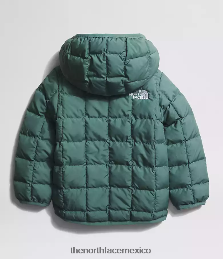 The North Face ropa NFHLJL636 sabio oscuro bebé chamarra reversible con capucha y termobola