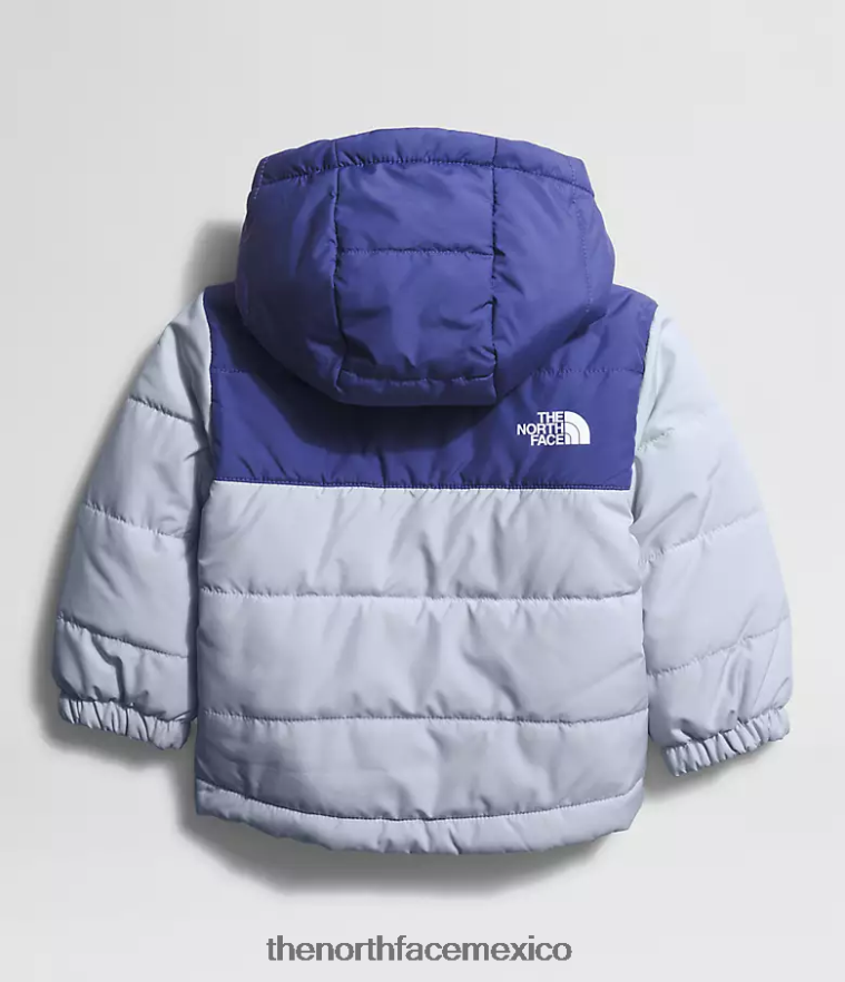The North Face ropa NFHLJL866 bígaro polvoriento bebé chaqueta reversible con capucha y cremallera completa mt chimbo
