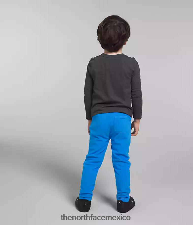 The North Face ropa NFHLJL1064 azul optico niños pantalones glaciares