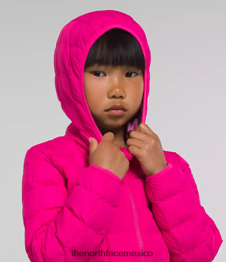 The North Face ropa NFHLJL1239 señor. rosa niños chamarra reversible con capucha y termobola
