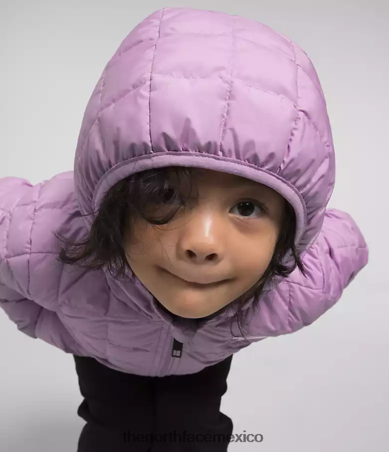 The North Face ropa NFHLJL1240 lupino niños chamarra reversible con capucha y termobola