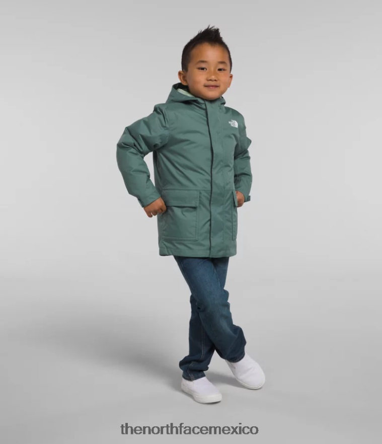 The North Face ropa NFHLJL584 sabio oscuro niños triclima norte abajo