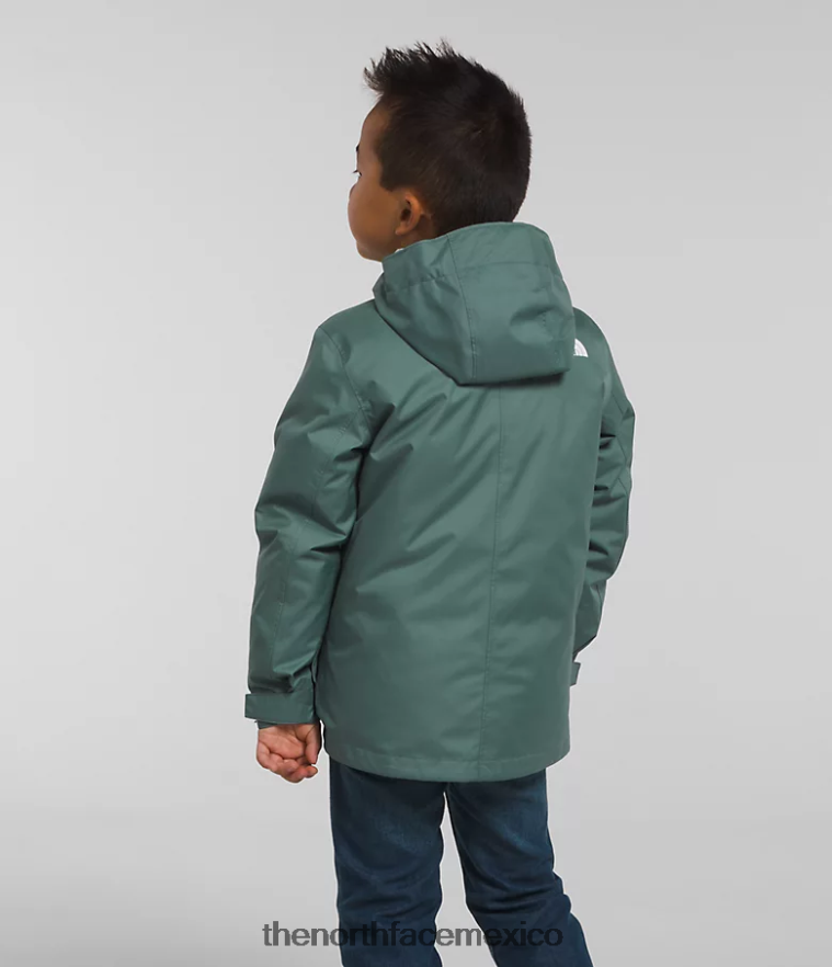 The North Face ropa NFHLJL584 sabio oscuro niños triclima norte abajo