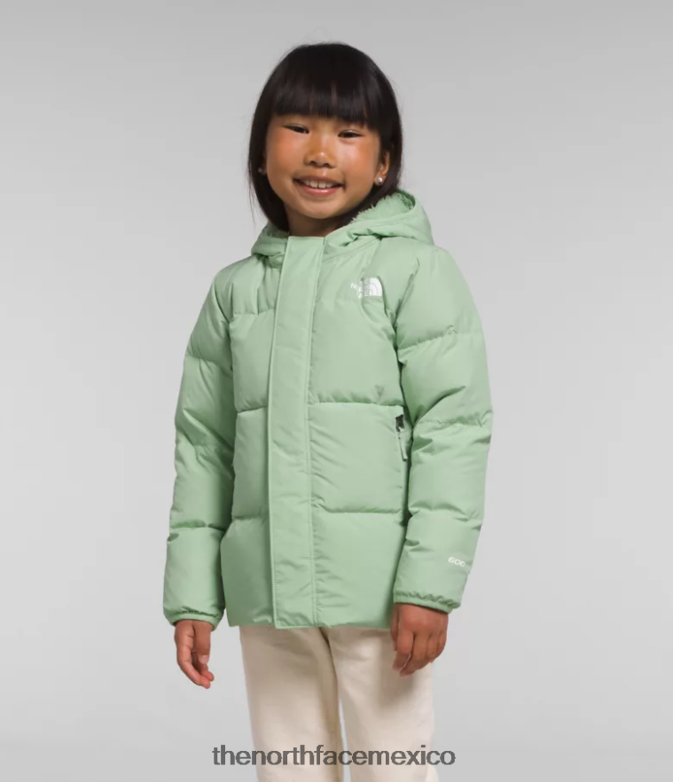 The North Face ropa NFHLJL864 sabio brumoso niños chaqueta con capucha North Down