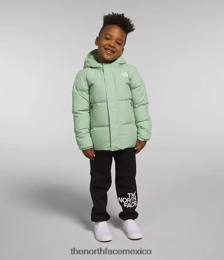 The North Face ropa NFHLJL864 sabio brumoso niños chaqueta con capucha North Down
