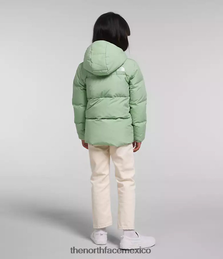 The North Face ropa NFHLJL864 sabio brumoso niños chaqueta con capucha North Down