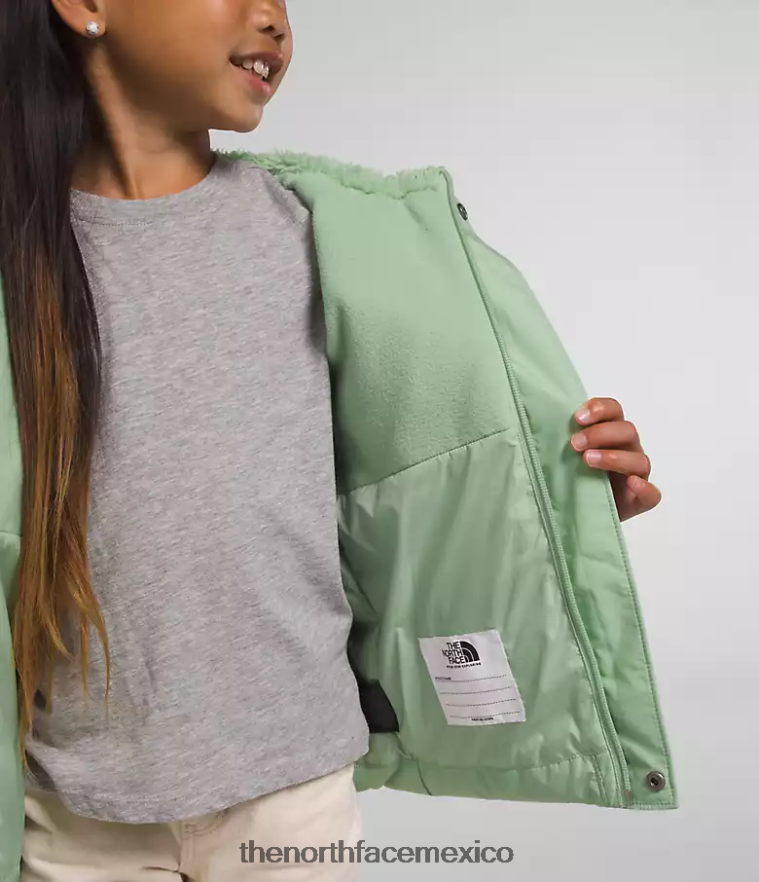The North Face ropa NFHLJL864 sabio brumoso niños chaqueta con capucha North Down