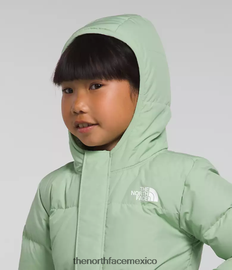 The North Face ropa NFHLJL864 sabio brumoso niños chaqueta con capucha North Down