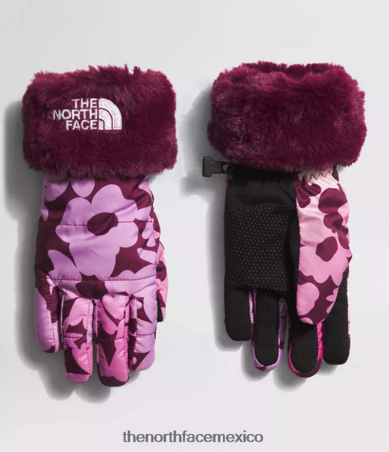 The North Face accesorio NFHLJL461 estampado floral degradado de mora blanca niños guantes de remolino mossbud