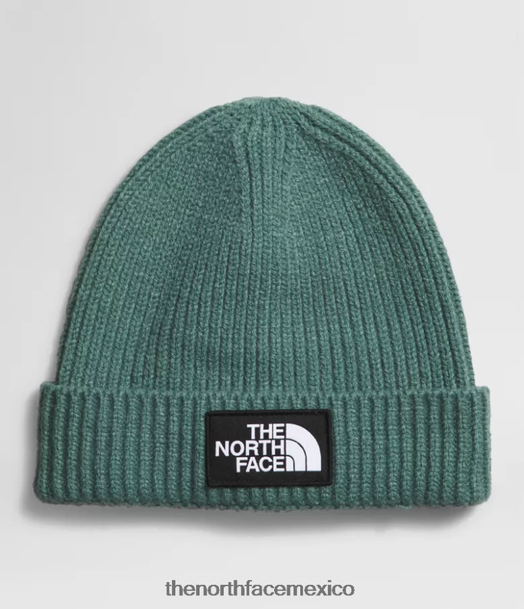 The North Face accesorio NFHLJL763 sabio oscuro niños gorro con puños y logo de tnf