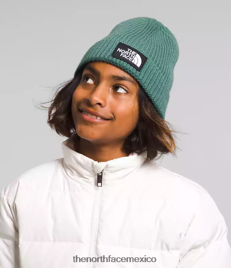 The North Face accesorio NFHLJL763 sabio oscuro niños gorro con puños y logo de tnf