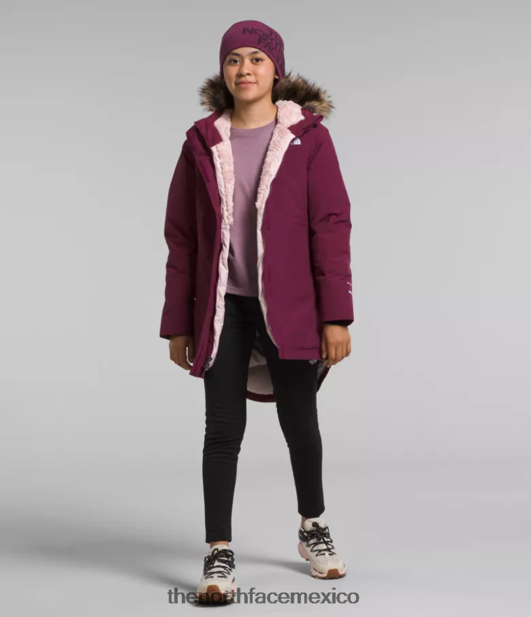 The North Face ropa NFHLJL178 arándano niños parka ártica