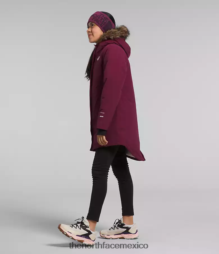 The North Face ropa NFHLJL178 arándano niños parka ártica