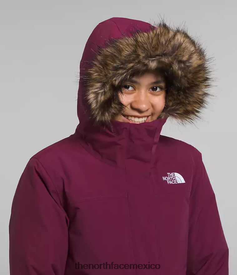 The North Face ropa NFHLJL178 arándano niños parka ártica