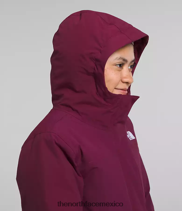The North Face ropa NFHLJL178 arándano niños parka ártica