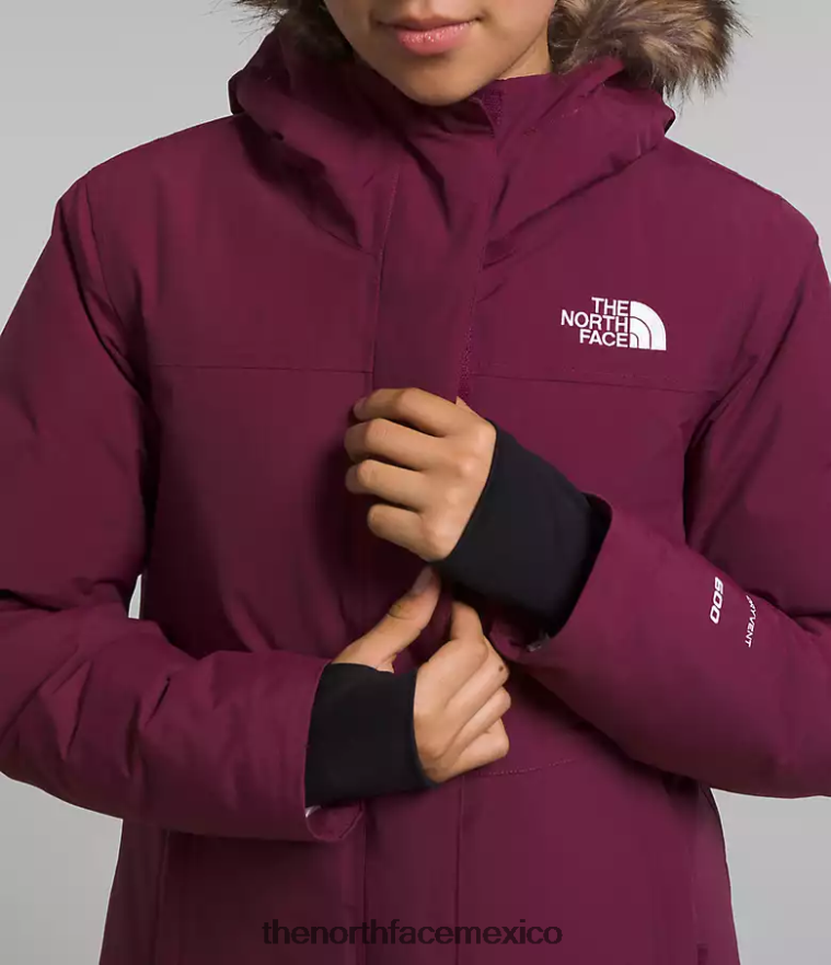 The North Face ropa NFHLJL178 arándano niños parka ártica
