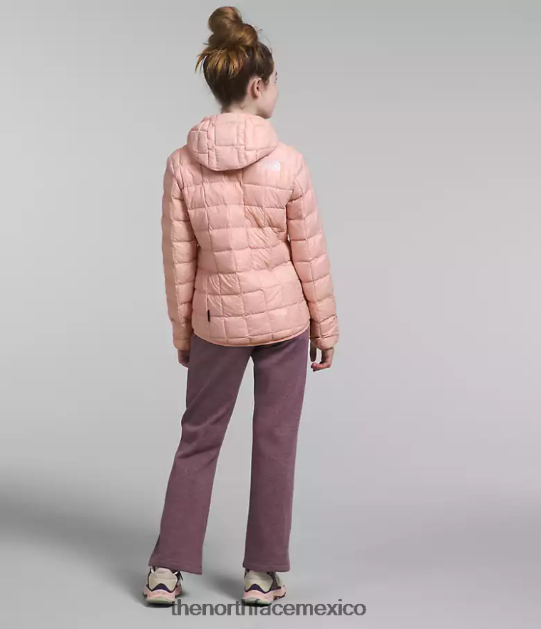 The North Face ropa NFHLJL180 musgo rosa niños chaqueta térmica con capucha