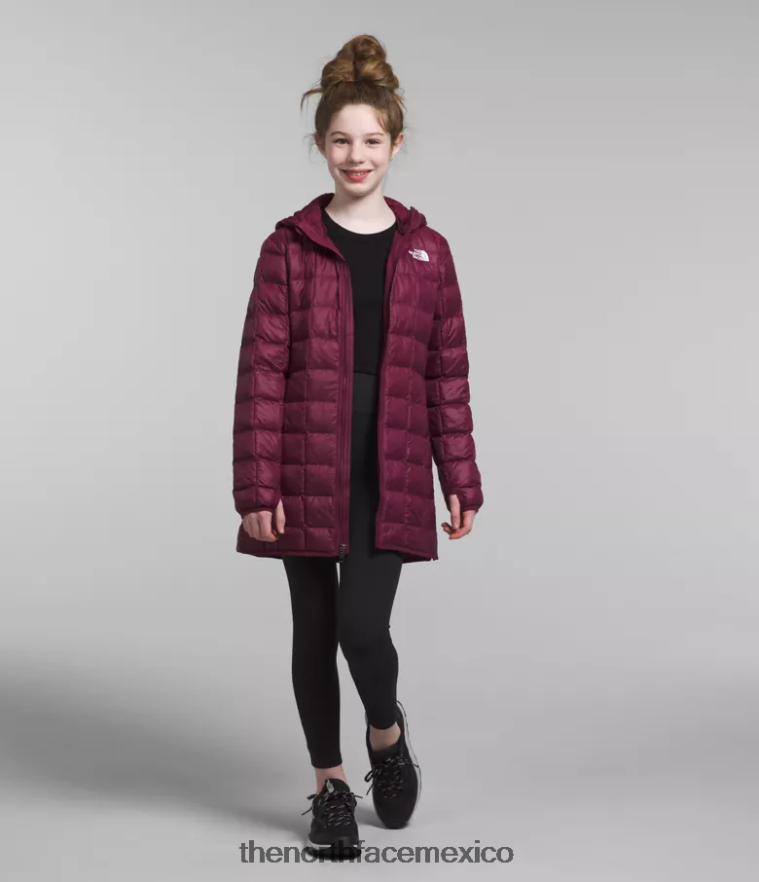 The North Face ropa NFHLJL459 arándano niños parka termobola