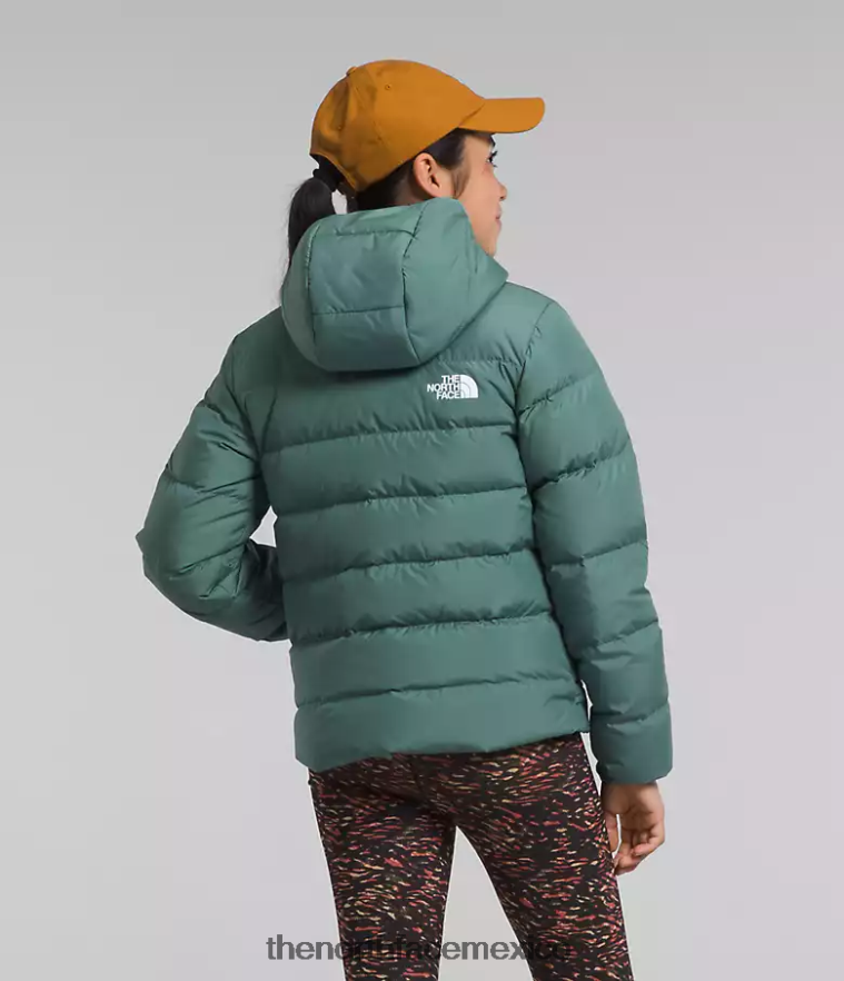 The North Face ropa NFHLJL628 sabio oscuro niños chaqueta reversible con capucha y plumón norte