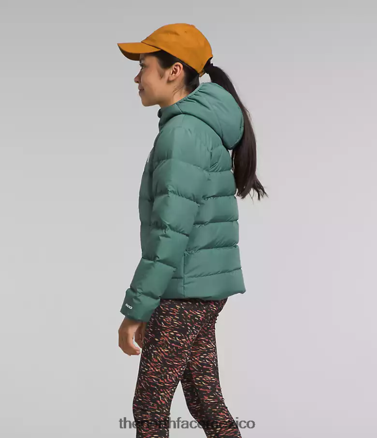 The North Face ropa NFHLJL628 sabio oscuro niños chaqueta reversible con capucha y plumón norte