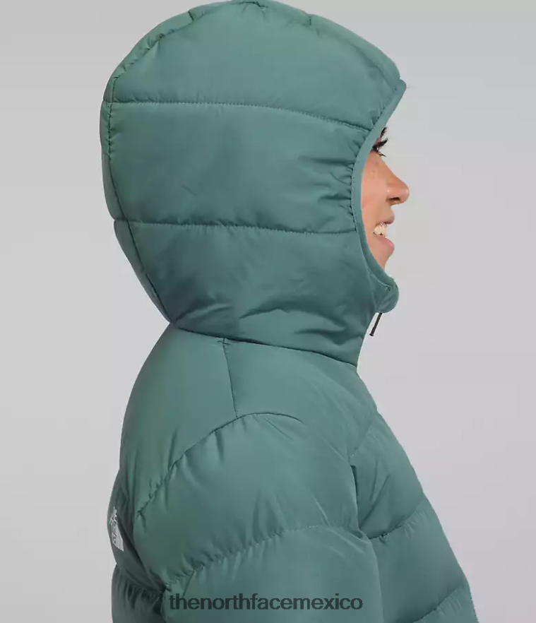 The North Face ropa NFHLJL628 sabio oscuro niños chaqueta reversible con capucha y plumón norte