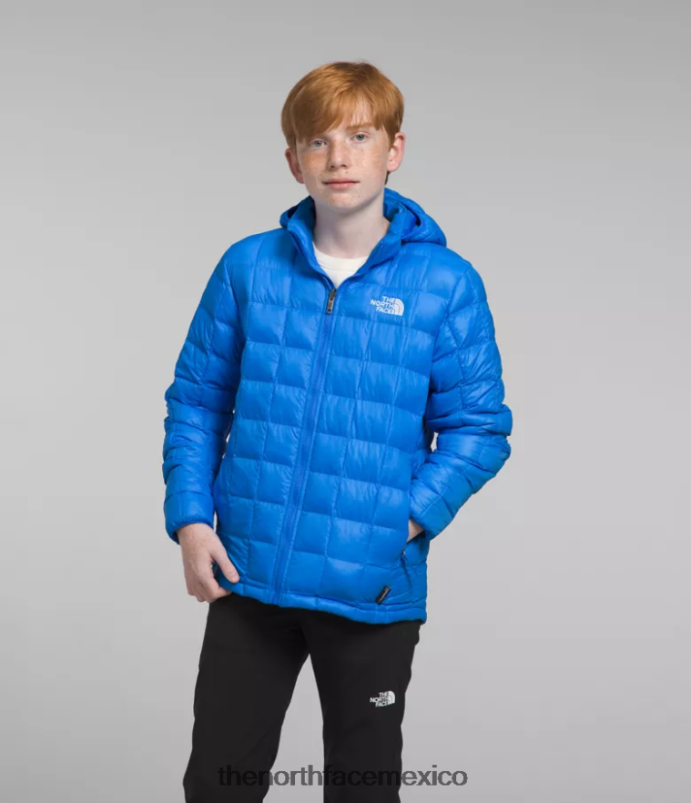 The North Face ropa NFHLJL632 azul optico niños chaqueta térmica con capucha