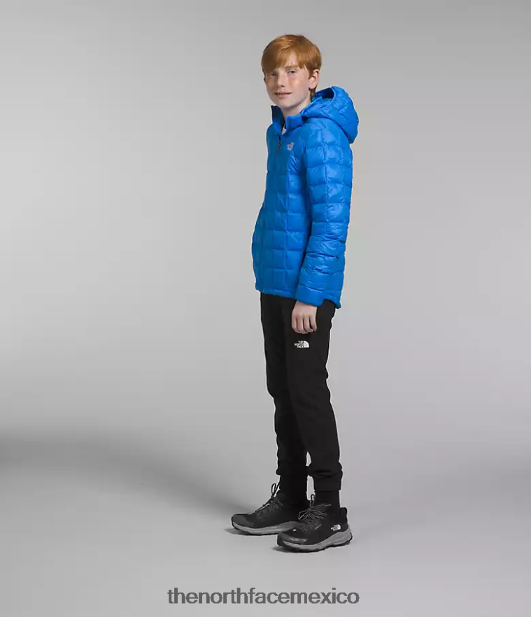 The North Face ropa NFHLJL632 azul optico niños chaqueta térmica con capucha