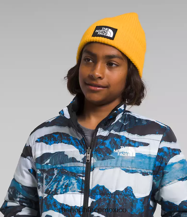 The North Face ropa NFHLJL80 estampado de travesía de montaña azul óptico niños chaqueta reversible con capucha y cremallera completa mt chimbo