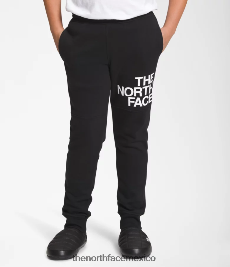 The North Face ropa NFHLJL393 negro niños joggers polares camp