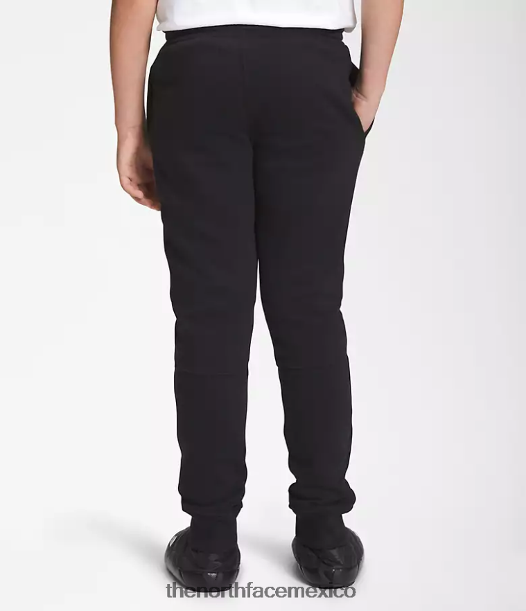 The North Face ropa NFHLJL393 negro niños joggers polares camp