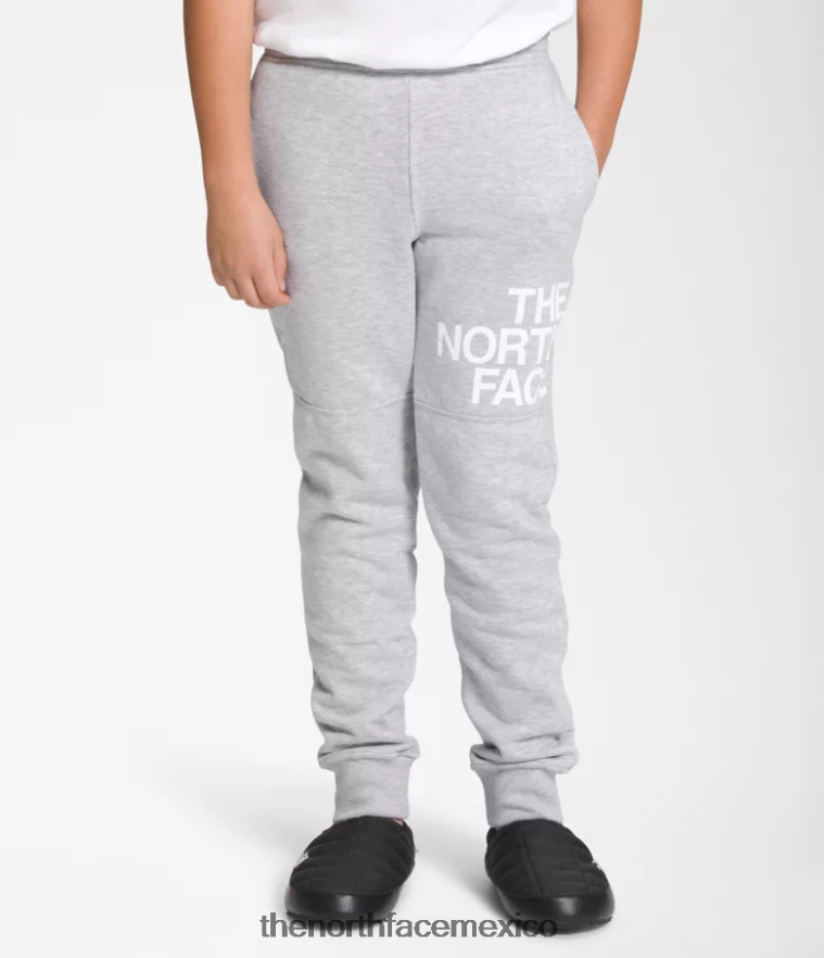 The North Face ropa NFHLJL394 tnf gris claro jaspeado niños joggers polares camp