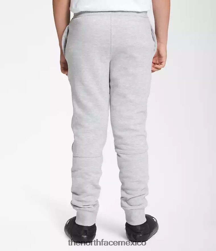 The North Face ropa NFHLJL394 tnf gris claro jaspeado niños joggers polares camp