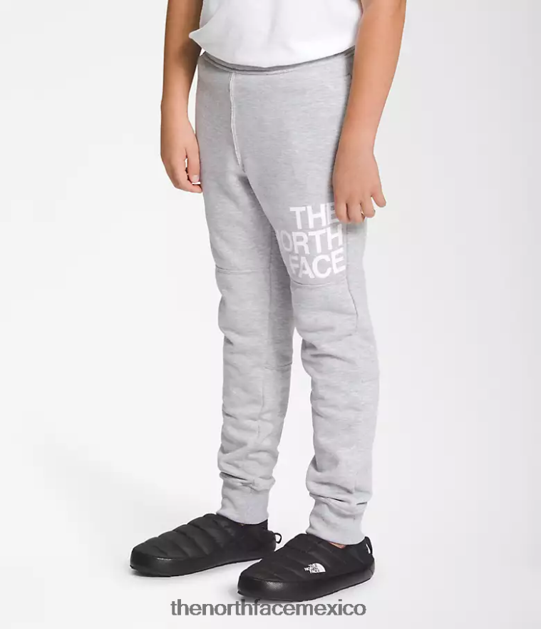 The North Face ropa NFHLJL394 tnf gris claro jaspeado niños joggers polares camp